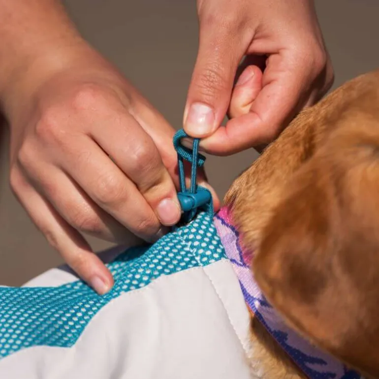 Non-stop dogwear Cooling vest, teal