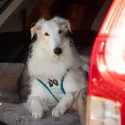 Non-stop dogwear Cooling vest, teal