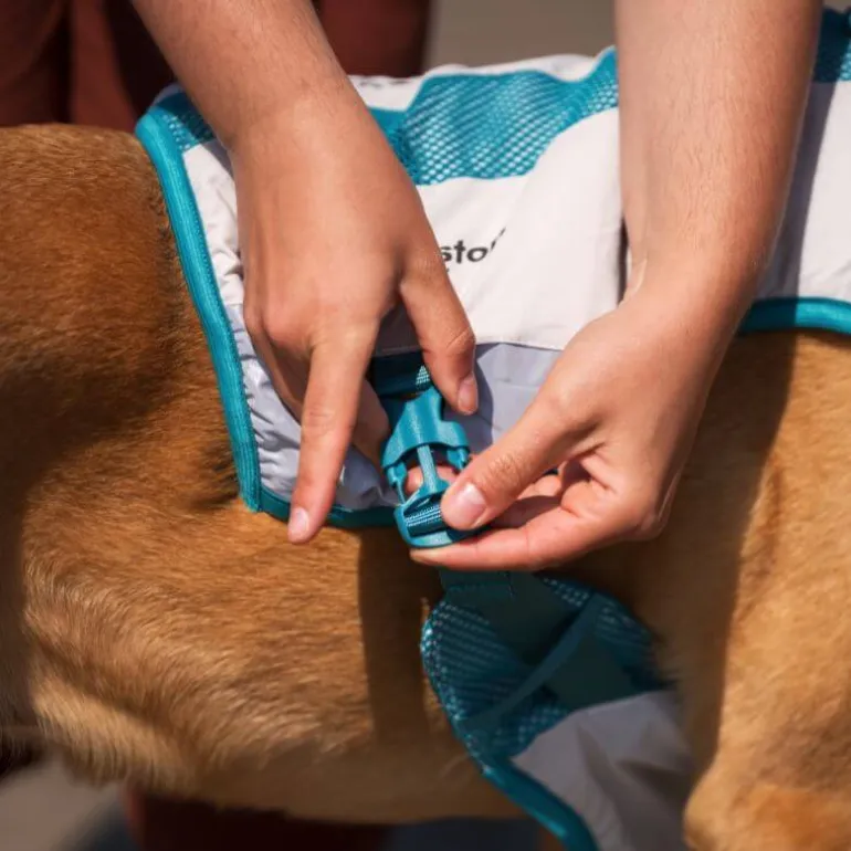 Non-stop dogwear Cooling vest, teal