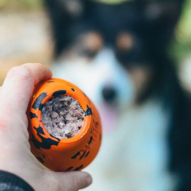 Non-stop dogwear Dog throw toy heittolelu, musta-oranssi