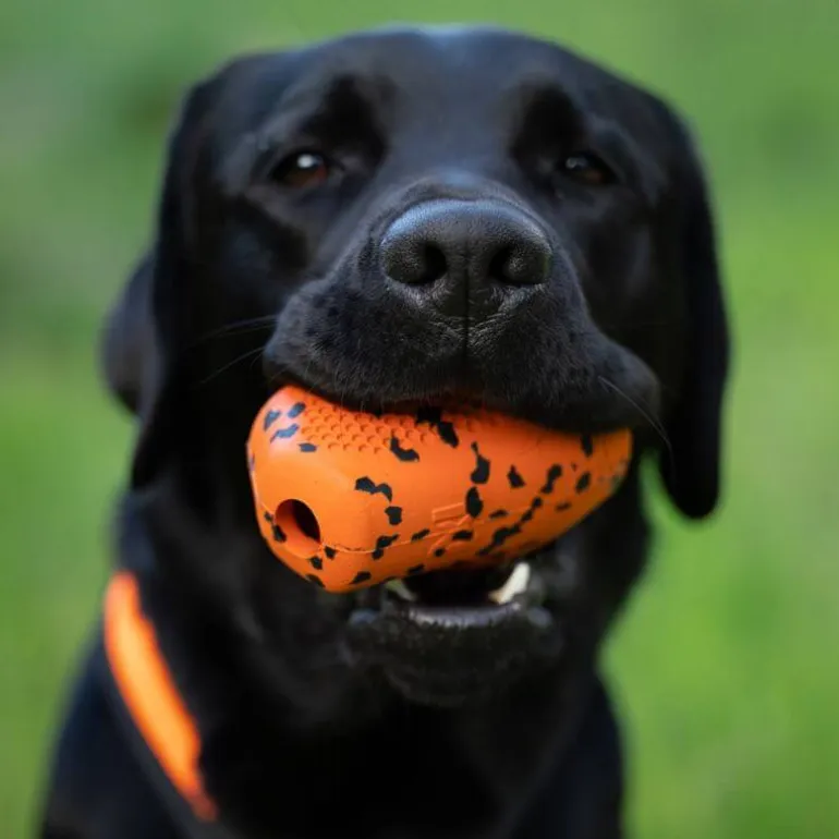 Non-stop dogwear Dog throw toy heittolelu, musta-oranssi
