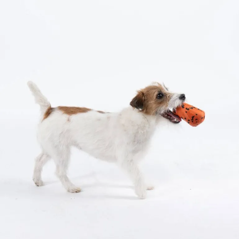 Non-stop dogwear Dog throw toy heittolelu, musta-oranssi