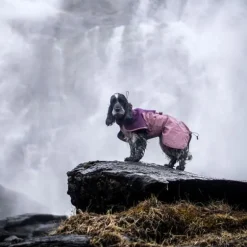 Non-stop dogwear Fjord 2.0 koiran sadetakki, mauve