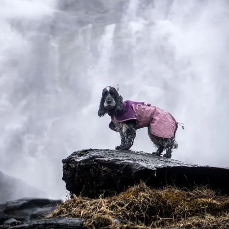 Non-stop dogwear Fjord 2.0 koiran sadetakki, mauve