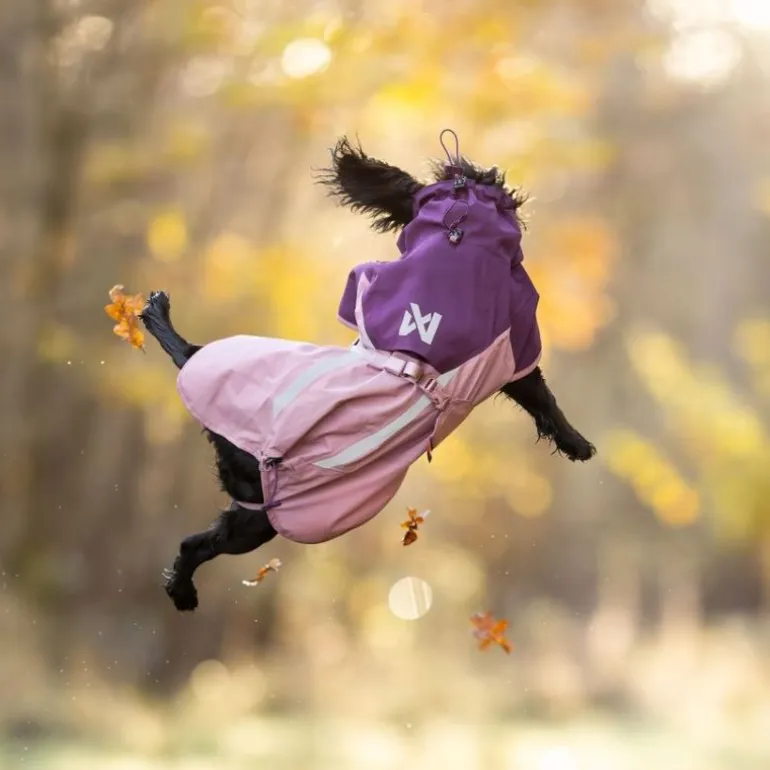 Non-stop dogwear Fjord 2.0 koiran sadetakki, mauve