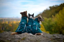 Non-stop dogwear Fjord lined raincoat koiran sadetakki, dark teal