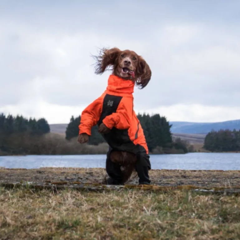 Non-stop dogwear Fjord overall koiran sadehaalari, oranssi