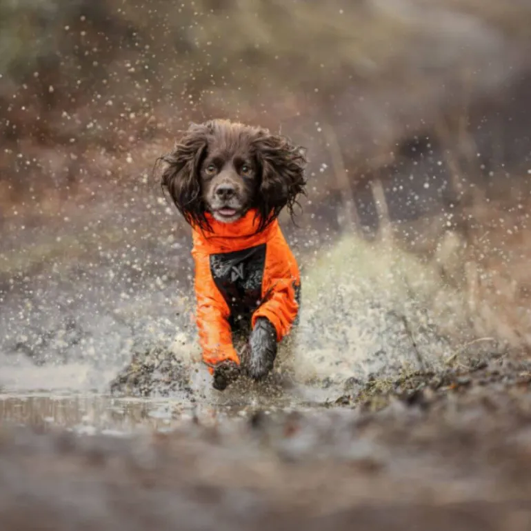 Non-stop dogwear Fjord overall koiran sadehaalari, oranssi