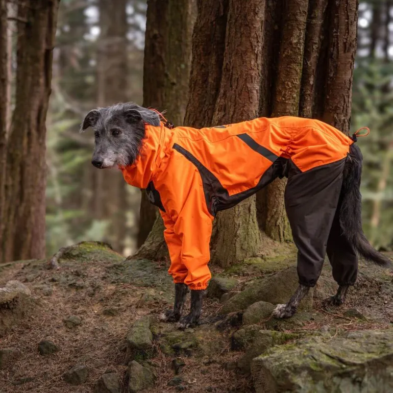 Non-stop dogwear Fjord overall koiran sadehaalari, oranssi
