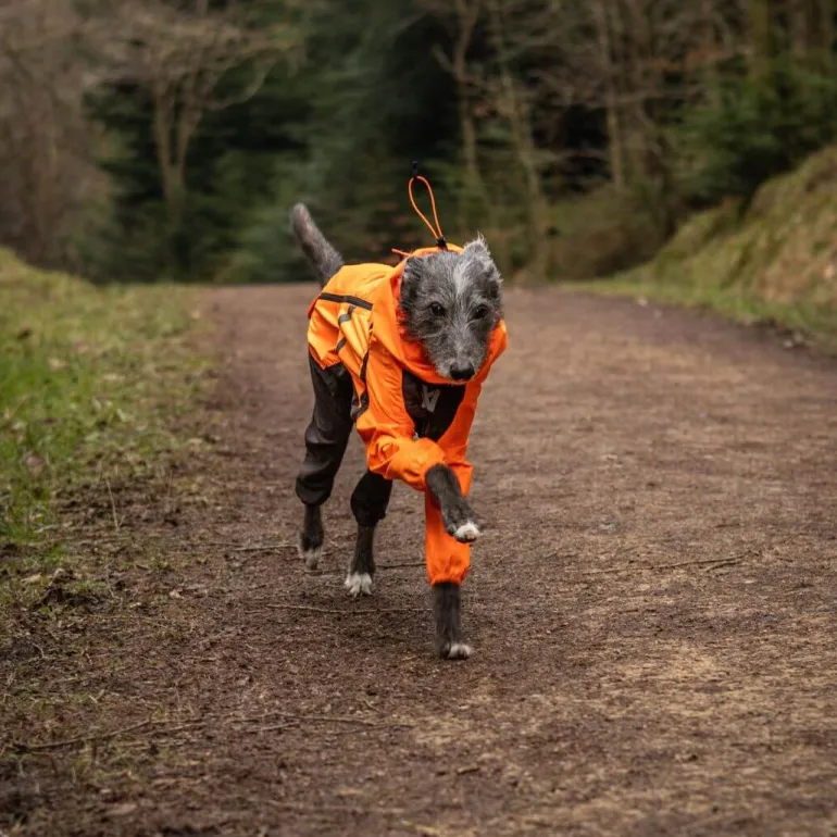 Non-stop dogwear Fjord overall koiran sadehaalari, oranssi