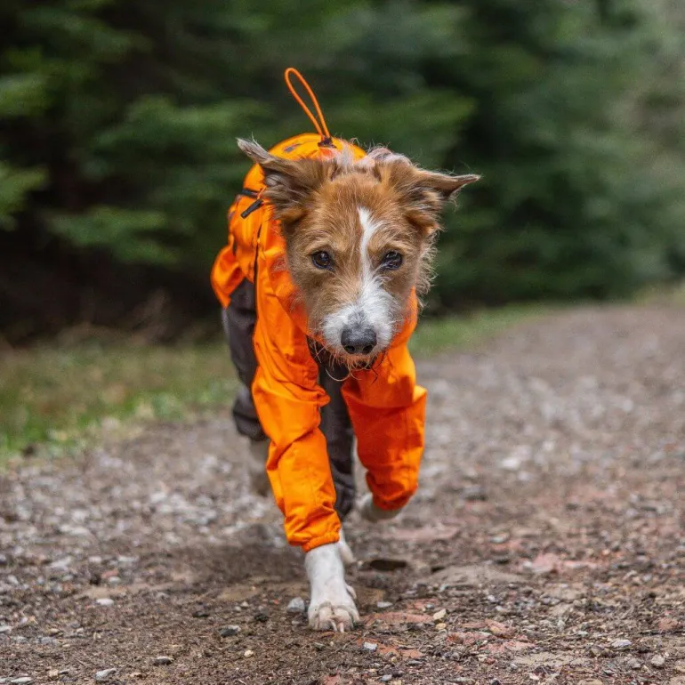 Non-stop dogwear Fjord overall koiran sadehaalari, oranssi