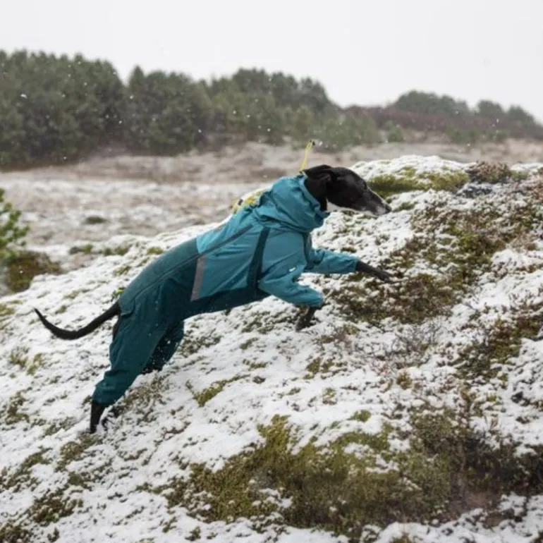 Non-stop dogwear Fjord overall koiran sadehaalari petrooli