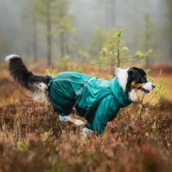 Non-stop dogwear Fjord overall koiran sadehaalari petrooli