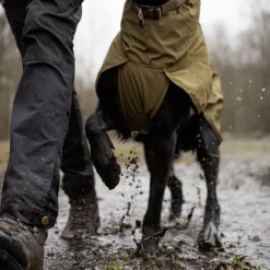 Non-stop dogwear Fjord WD koiran sadetakki, oliivi