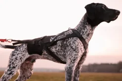Non-stop dogwear Freemotion harness pro vetovaljas