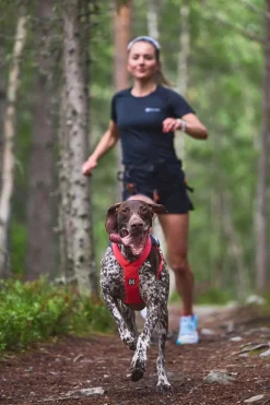 Non-stop dogwear Freemotion 5.0 vetovaljas, teal