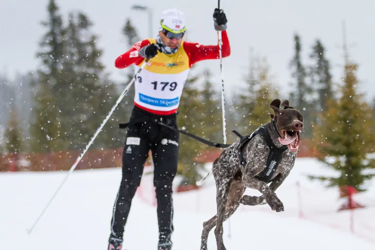 Non-Stop dogwear Freemotion vetovaljas