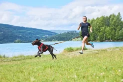 Non-stop dogwear Freemotion 5.0 vetovaljas, pinkki