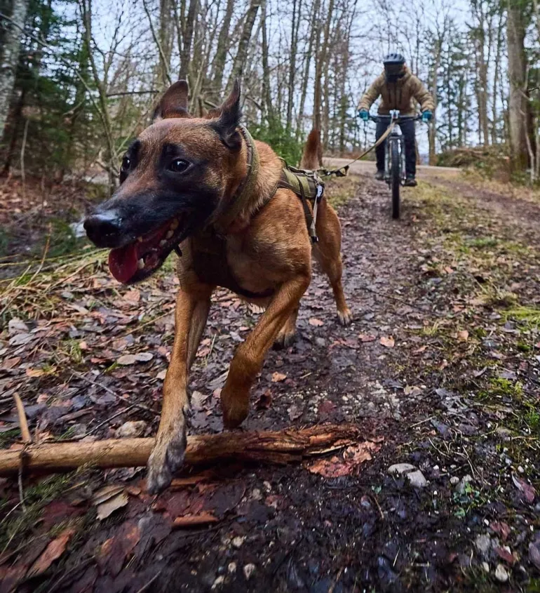 Non-stop dogwear Freemotion WD vetovaljaat koiralle, oliivi
