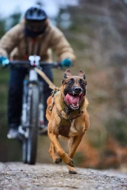 Non-stop dogwear Freemotion WD vetovaljaat koiralle, oliivi