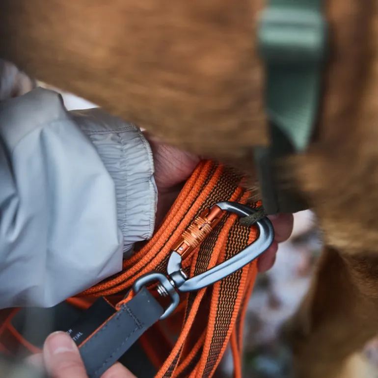 Non-stop dogwear Friction long line grippiliina koiralle