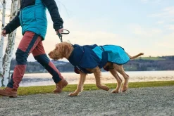 Non-stop dogwear Glacier 2.0 koiran takki, sininen
