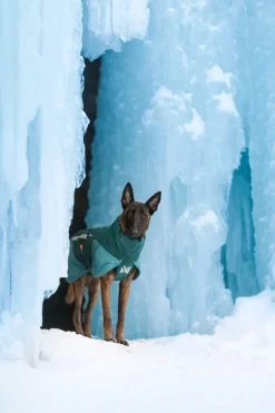 Non-stop dogwear Glacier 3.0 koiran takki, teal