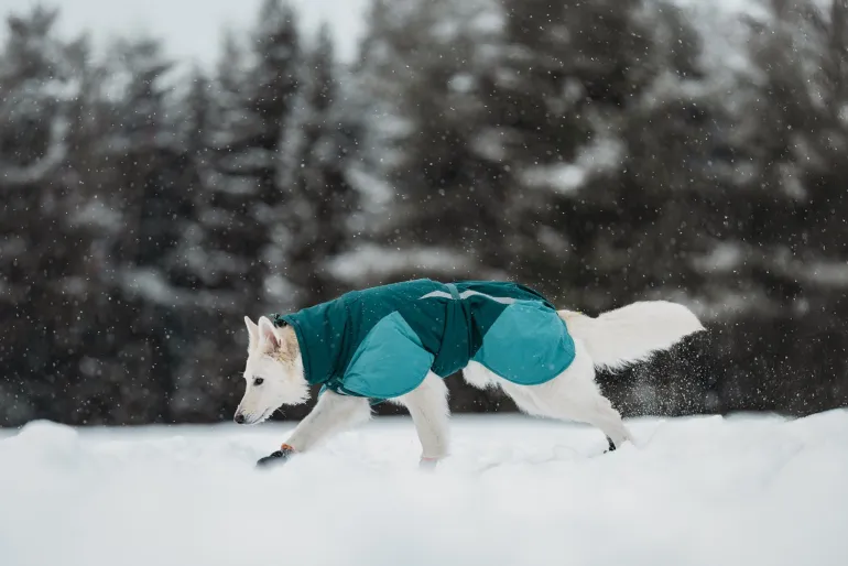 Non-stop dogwear Glacier 3.0 koiran takki, teal