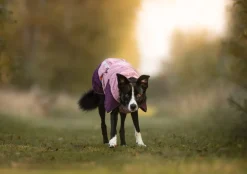 Non-stop dogwear Glacier 3.0 koiran takki, mauve