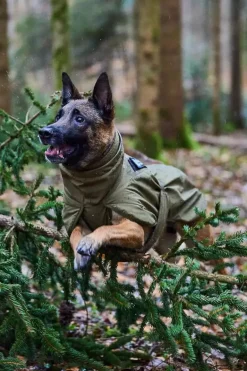 Non-stop dogwear Glacier WD koiran takki