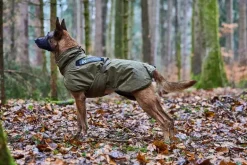 Non-stop dogwear Glacier WD koiran takki