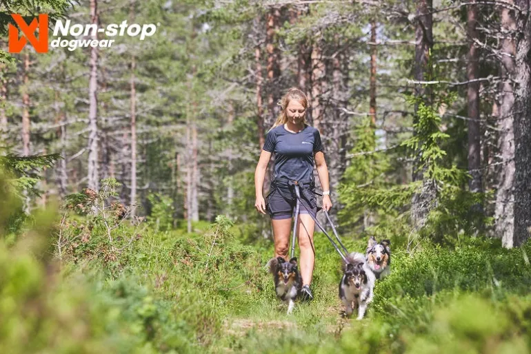 Non-stop dogwear Line Harness 5.0 koiran valjaat, oranssi