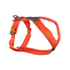 Non-stop dogwear Line Harness 5.0 koiran valjaat, oranssi