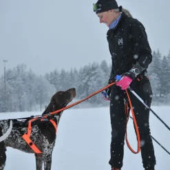 Non-stop dogwear Løype belt pro, musta