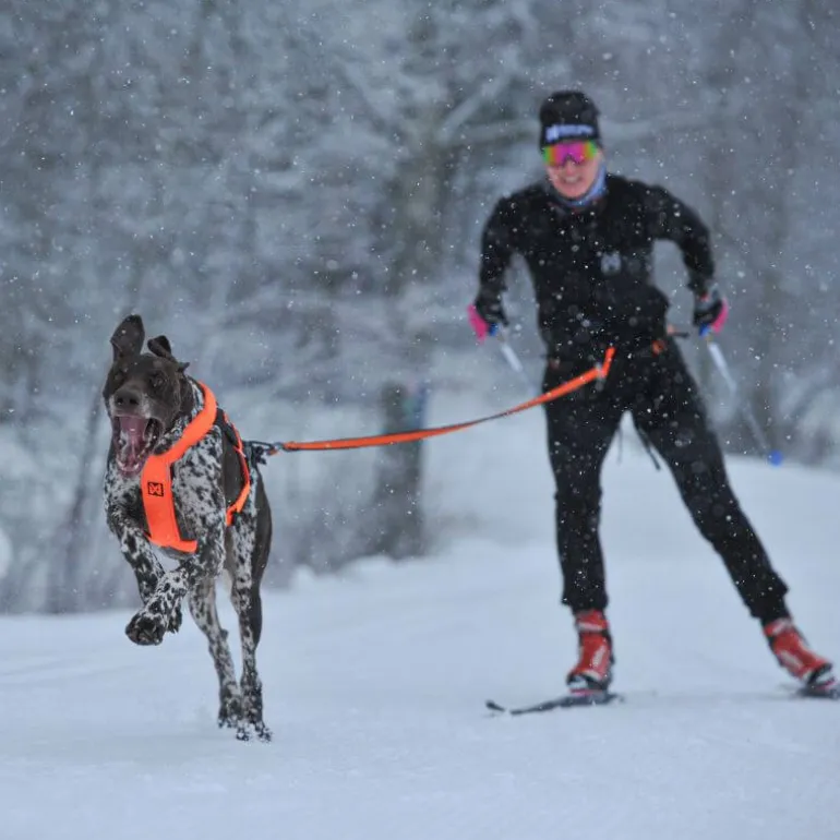 Non-stop dogwear Løype belt pro, musta