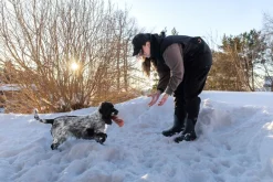 Non-stop dogwear Obedience vest naisten treeniliivi
