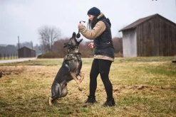 Non-stop dogwear Obedience vest naisten treeniliivi