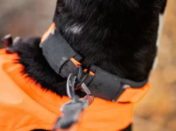 Non-stop dogwear Protector collar