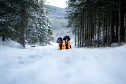 Non-stop dogwear Protector dog suit koiran haalari, nartuille