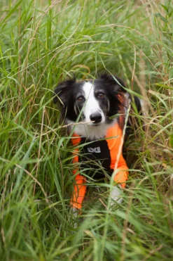Non-stop dogwear Protector dog suit koiran haalari, nartuille