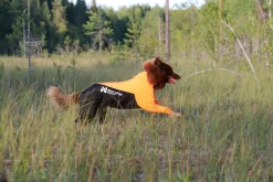 Non-stop dogwear Protector dog suit koiran haalari, uroksille