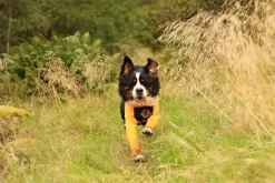 Non-stop dogwear Protector dog suit koiran haalari, uroksille