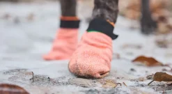 Non-stop dogwear Protector light socks koiran tossut