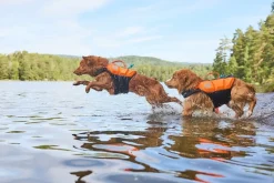 Non-stop dogwear Protector Life pelastusliivi