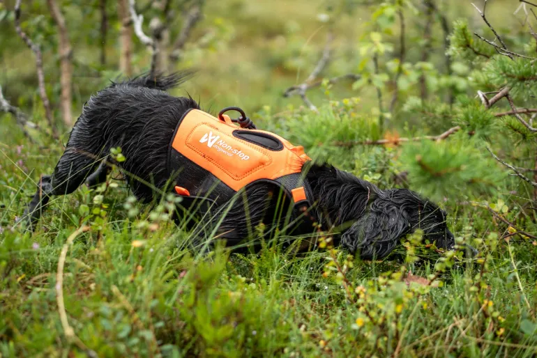 Non-stop dogwear Protector neoprene vest, oranssi