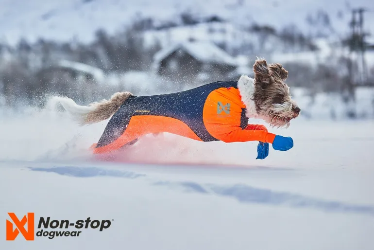 Non-stop dogwear Protector snow koiran haalari, nartuille