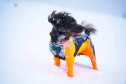 Non-stop dogwear Protector snow koiran haalari, nartuille