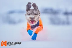 Non-stop dogwear Protector snow koiran haalari, nartuille