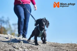 Non-stop dogwear Ramble koiran valjaat, violetti