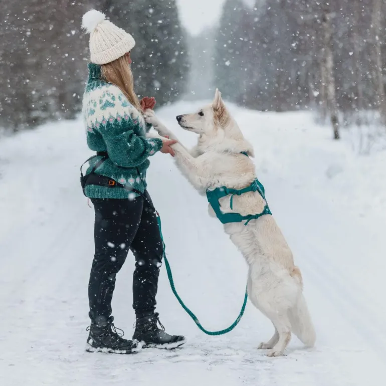 Non-stop dogwear Ramble long koiran valjaat, petrooli